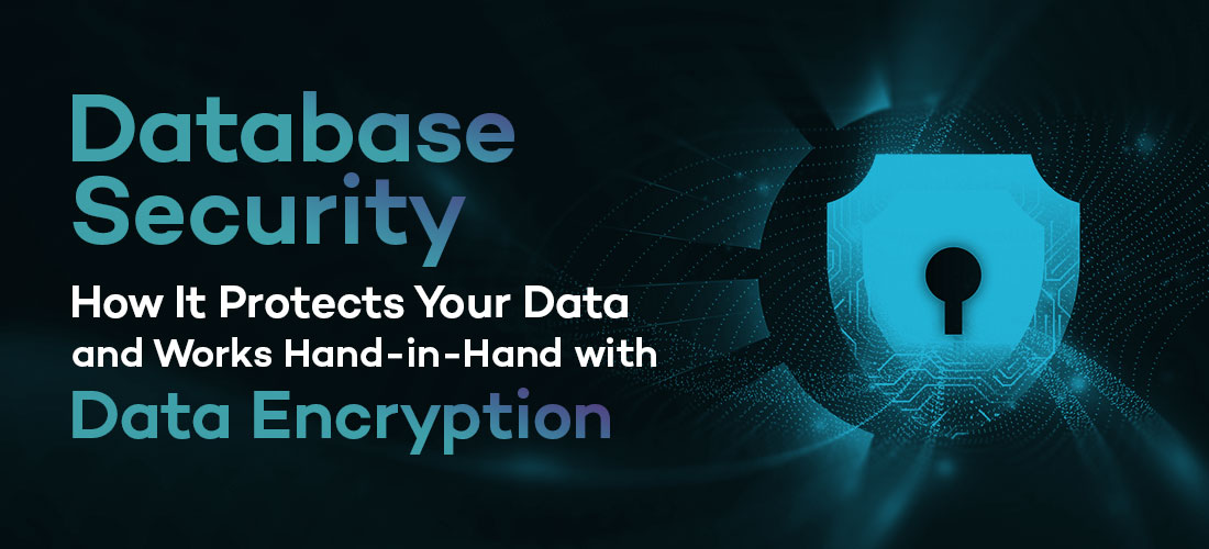 Database Security: How It Protects Your Data and Works Hand-in-Hand with Data Encryption